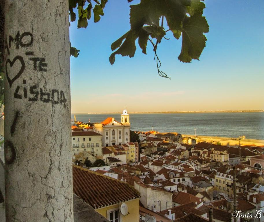 Live Alfama Daire Lisboa Oda fotoğraf